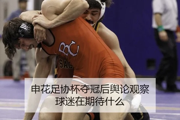 申花足协杯夺冠后舆论观察 球迷在期待什么